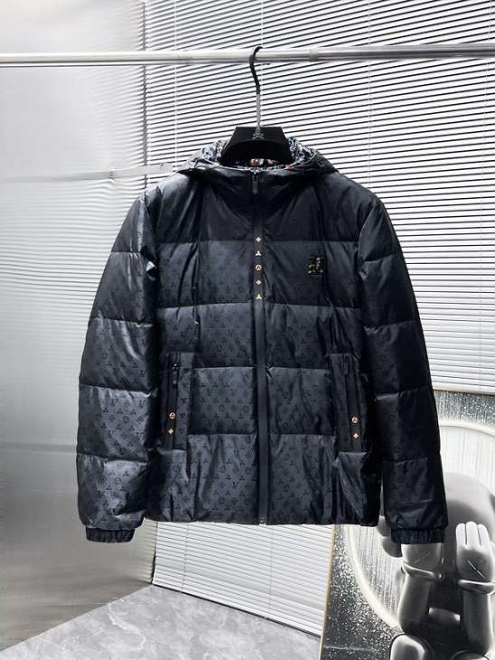 Picture of Louis Vuitton Down Jackets _SKULVM-3XL25wx0137650